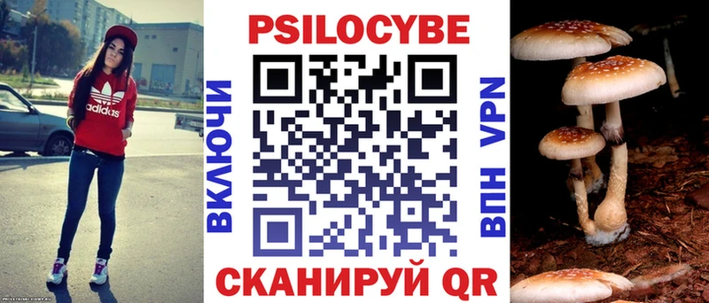 Купить закладки  Красноармейск  Галлюциногенные грибы мицелий 